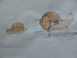 Drawn Pictures